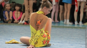 Турнир по художественной гимнастике 2011