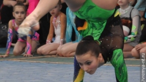 Турнир по художественной гимнастике 2011