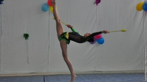 Турнир по художественной гимнастике 2011