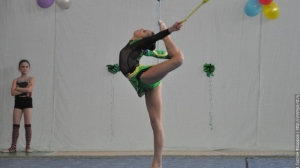 Турнир по художественной гимнастике 2011