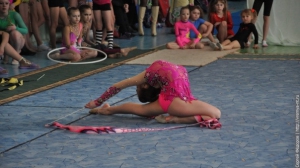 Турнир по художественной гимнастике 2011