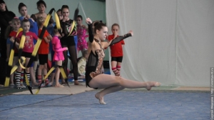 Турнир по художественной гимнастике 2011