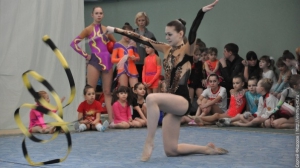 Турнир по художественной гимнастике 2011