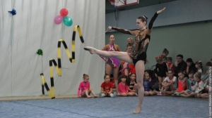 Турнир по художественной гимнастике 2011