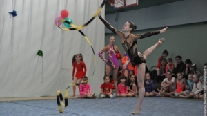 Турнир по художественной гимнастике 2011