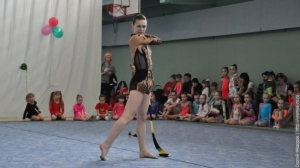 Турнир по художественной гимнастике 2011