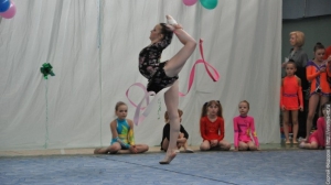 Турнир по художественной гимнастике 2011