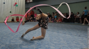 Турнир по художественной гимнастике 2011