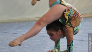 Турнир по художественной гимнастике 2011