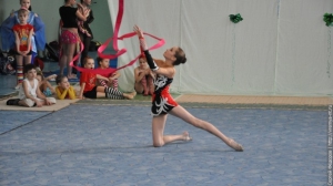 Турнир по художественной гимнастике 2011