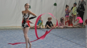 Турнир по художественной гимнастике 2011