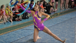 Турнир по художественной гимнастике 2011