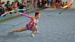 Турнир по художественной гимнастике 2011