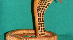 Кобра, готовая к броску. (автор Андрей Соколовский).