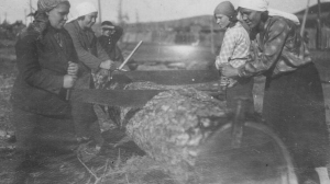 Распиловка леса для обустройства сада. (1935 г.)