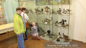 Ночь музеев 2015