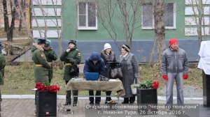 Черный тюльпан