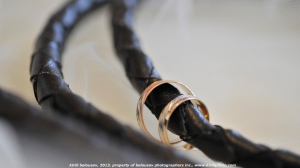 Самая необычная свадьба 