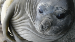 Самая дальняя командировка