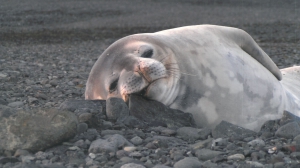 Самая дальняя командировка
