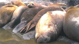 Самая дальняя командировка