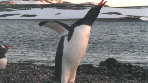 Самая дальняя командировка