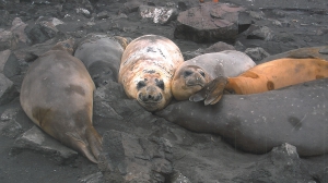 Самая дальняя командировка