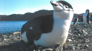 Самая дальняя командировка