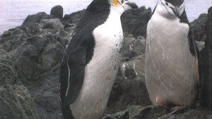 Самая дальняя командировка