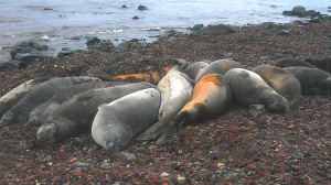 Самая дальняя командировка