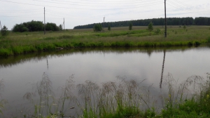 Июльские росы 2019