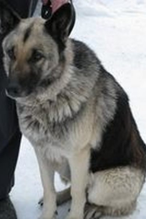 Подстражное проживание