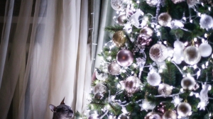 Фото Анны Гончаровой