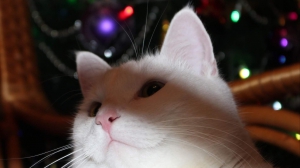 Фото Натальи Глущенко