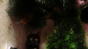 Фото Оксаны Семеновых