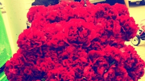 Полина Боровкова