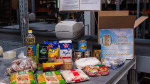 гуманитарный проект