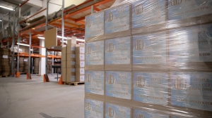 гуманитарный проект