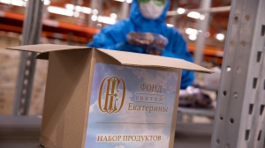 гуманитарный проект