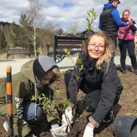Посадили Дерево Памяти