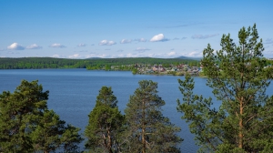 Виды Нижней Туры. Май 2020 г. Автор снимков - Артур Пивоваров