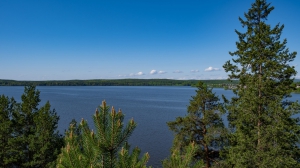 Виды Нижней Туры. Май 2020 г. Автор снимков - Артур Пивоваров