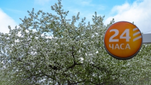 Виды Нижней Туры. Май 2020 г. Автор снимков - Артур Пивоваров