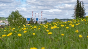 Виды Нижней Туры. Май 2020 г. Автор снимков - Артур Пивоваров