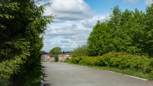 Виды Нижней Туры. Май 2020 г. Автор снимков - Артур Пивоваров