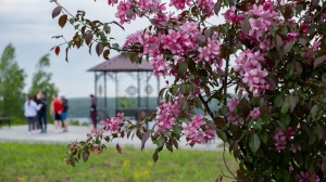 Виды Нижней Туры. Май 2020 г. Автор снимков - Артур Пивоваров