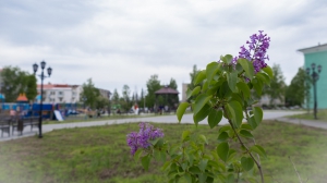 Виды Нижней Туры. Май 2020 г. Автор снимков - Артур Пивоваров