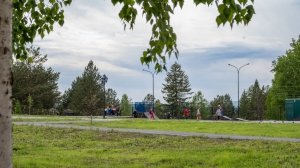 Виды Нижней Туры. Май 2020 г. Автор снимков - Артур Пивоваров