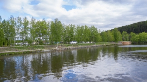 Виды Нижней Туры. Май 2020 г. Автор снимков - Артур Пивоваров