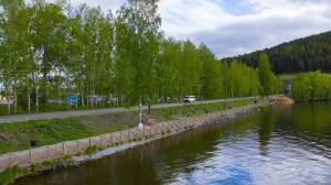 Виды Нижней Туры. Май 2020 г. Автор снимков - Артур Пивоваров